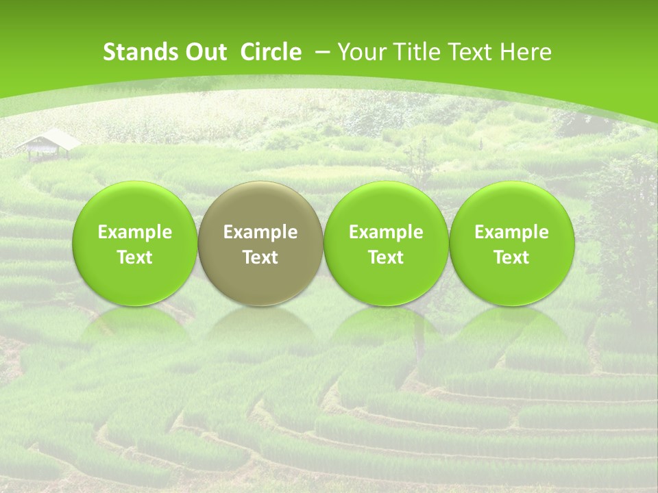 Garden Nature Color PowerPoint Template