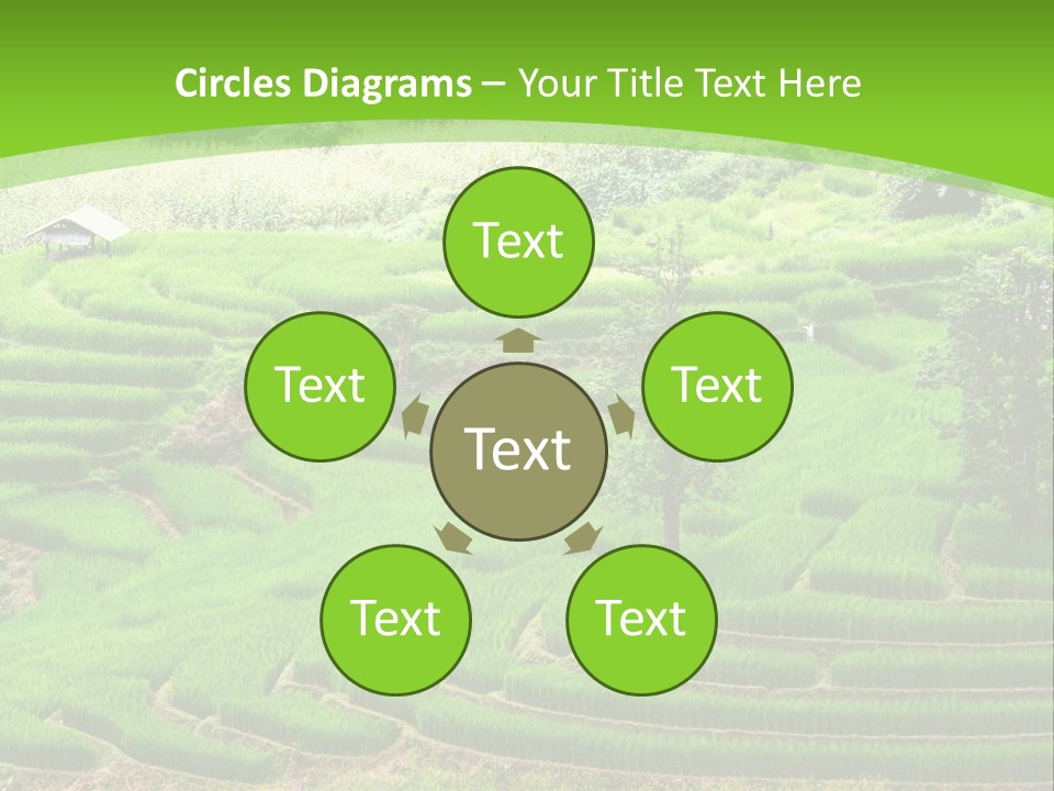 Garden Nature Color PowerPoint Template