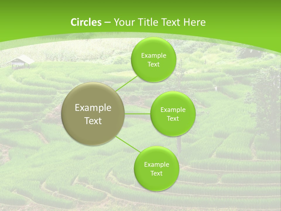 Garden Nature Color PowerPoint Template