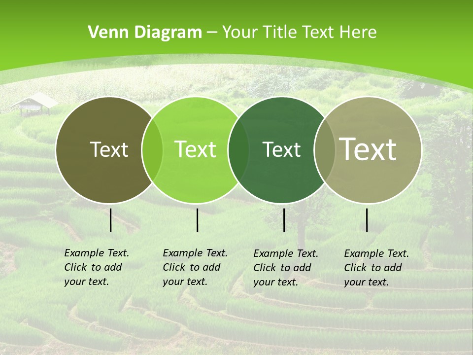 Garden Nature Color PowerPoint Template