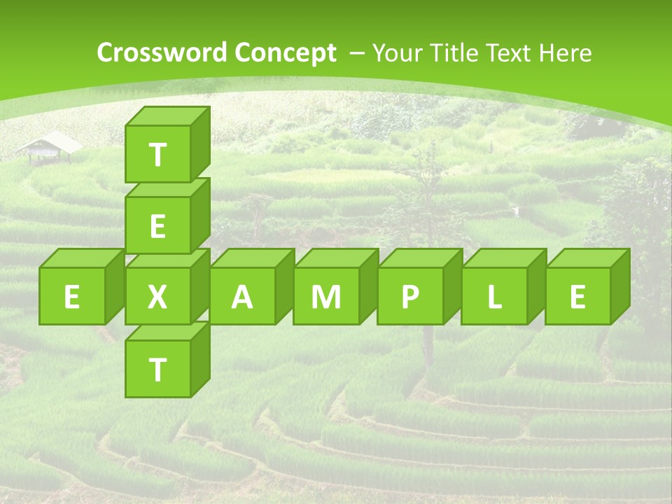 Garden Nature Color PowerPoint Template