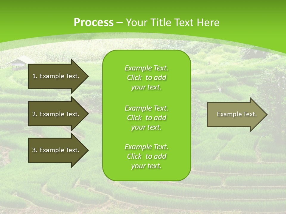Garden Nature Color PowerPoint Template