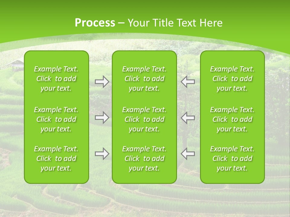 Garden Nature Color PowerPoint Template