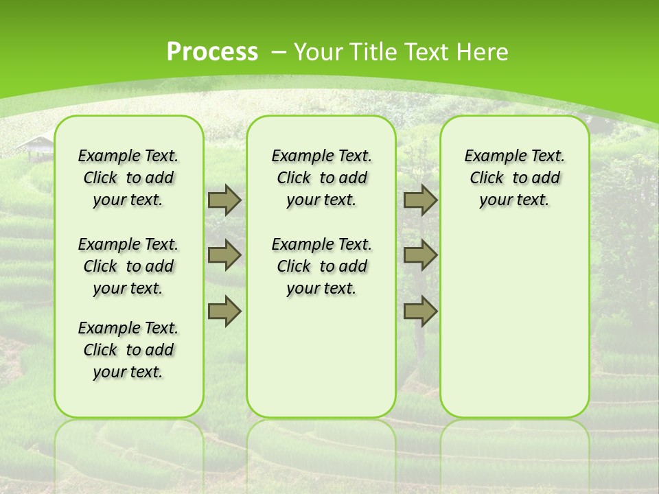 Garden Nature Color PowerPoint Template