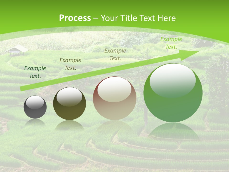 Garden Nature Color PowerPoint Template