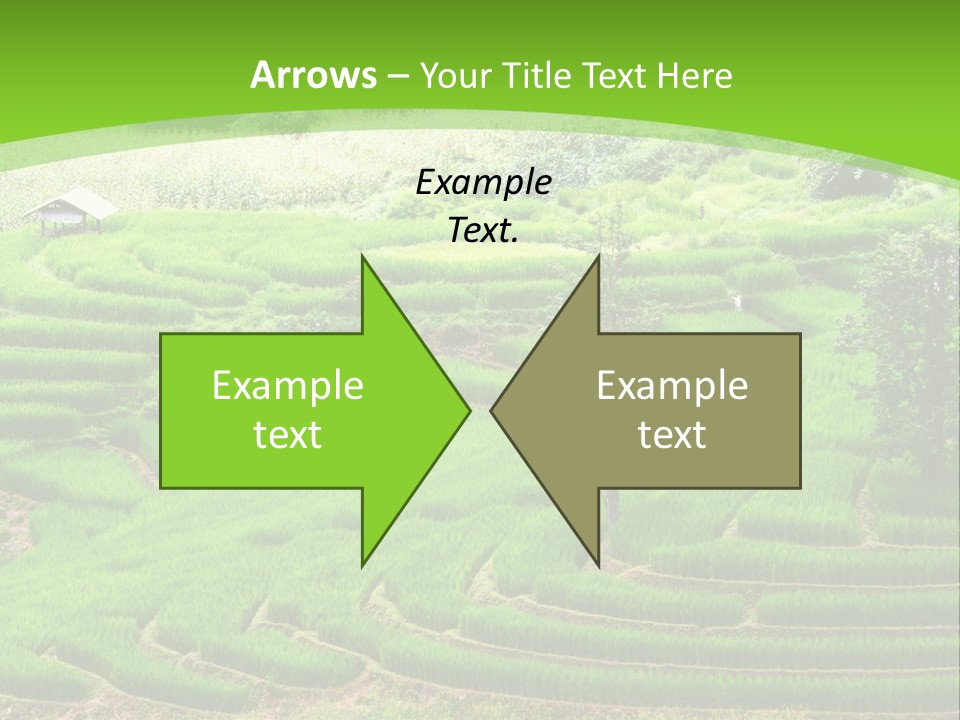 Garden Nature Color PowerPoint Template