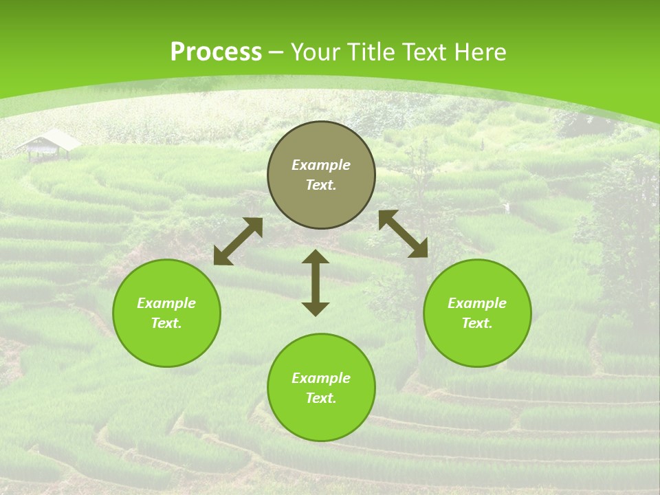 Garden Nature Color PowerPoint Template