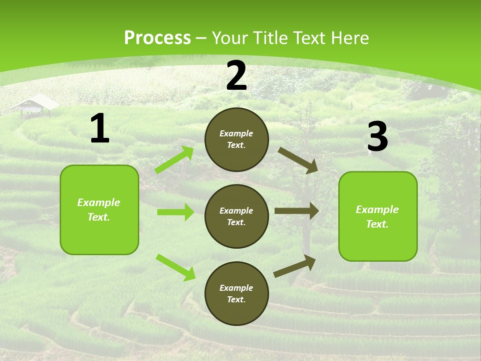 Garden Nature Color PowerPoint Template