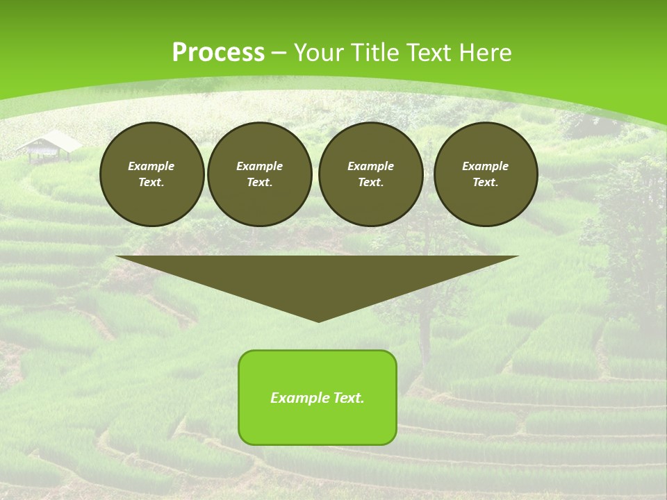 Garden Nature Color PowerPoint Template