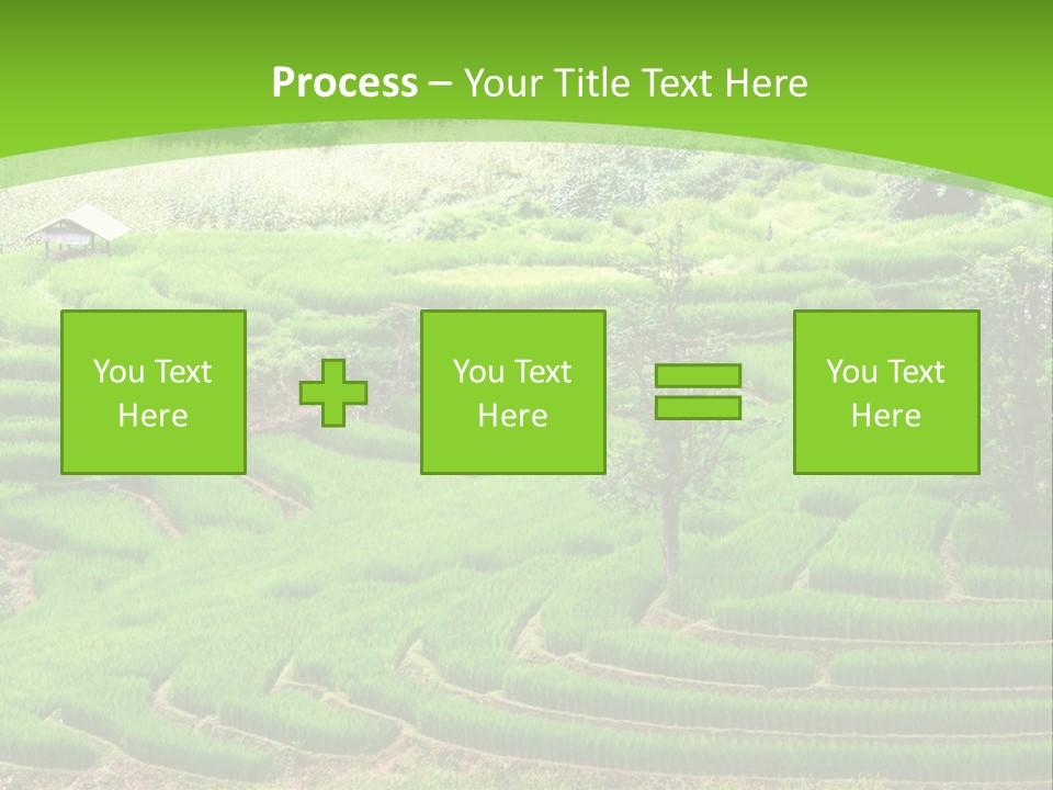 Garden Nature Color PowerPoint Template