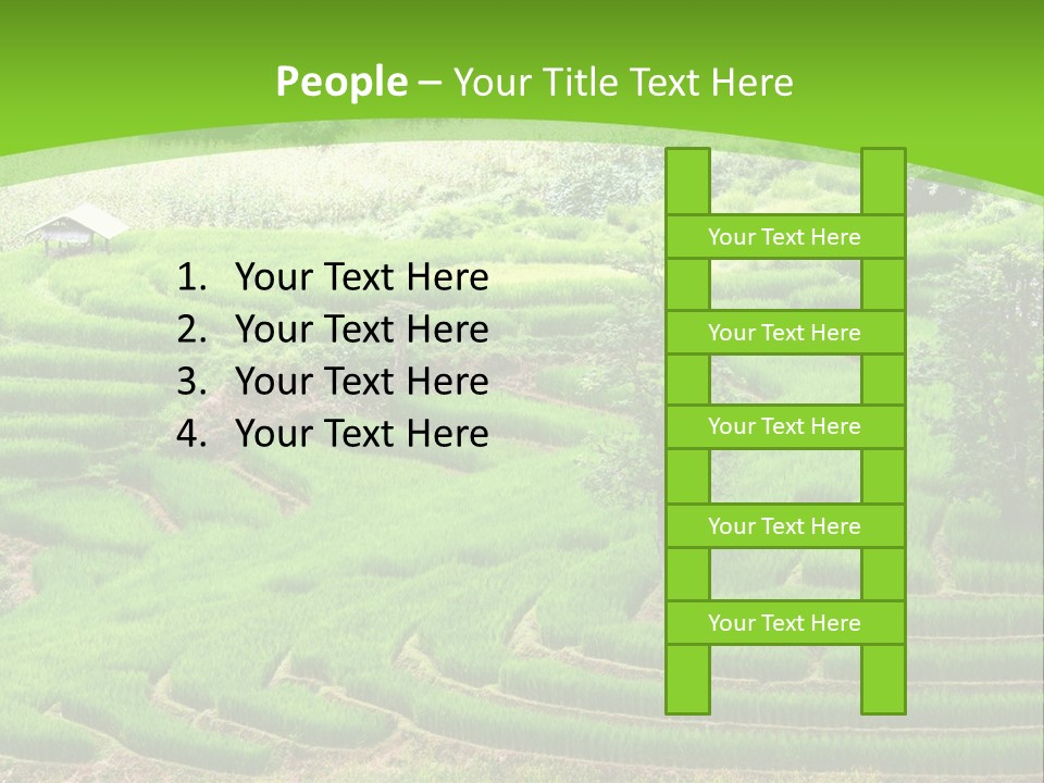 Garden Nature Color PowerPoint Template