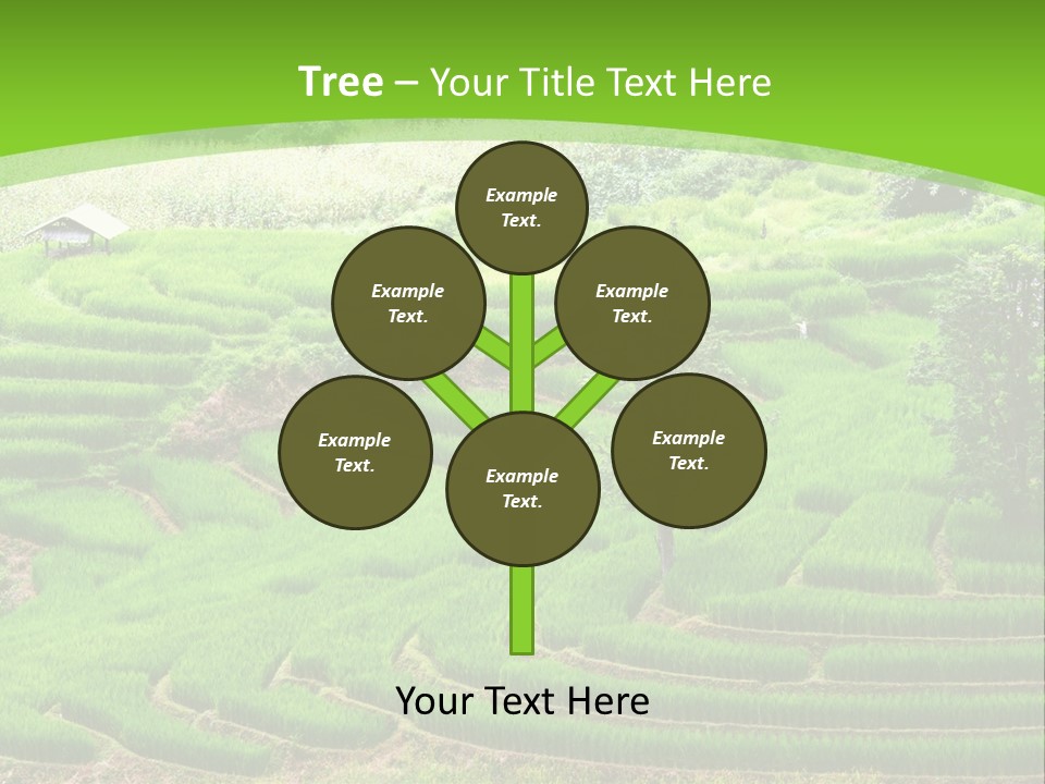 Garden Nature Color PowerPoint Template