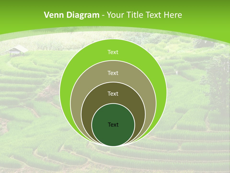 Garden Nature Color PowerPoint Template