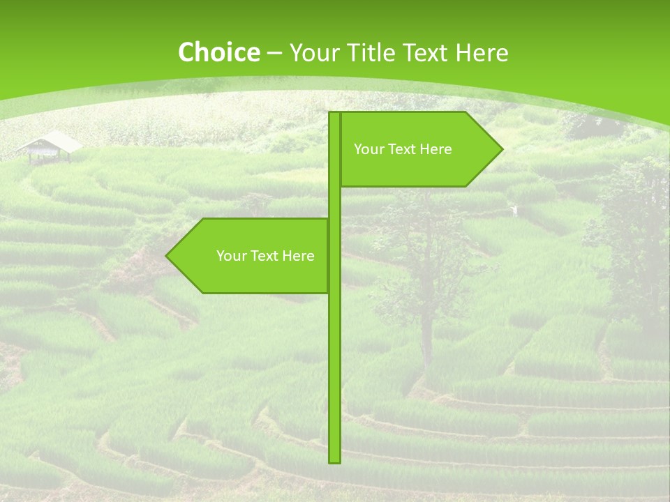 Garden Nature Color PowerPoint Template