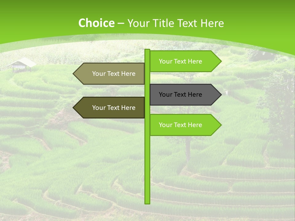 Garden Nature Color PowerPoint Template