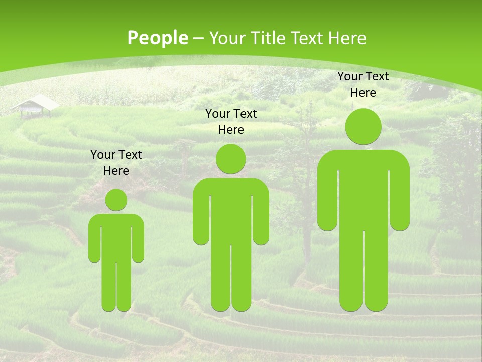 Garden Nature Color PowerPoint Template