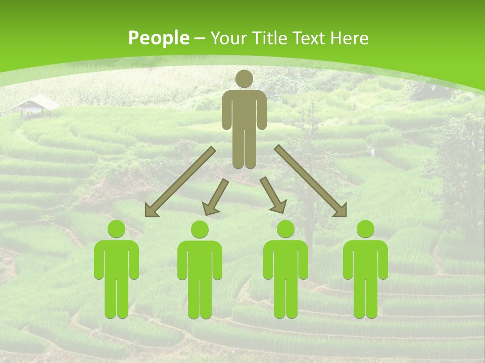 Garden Nature Color PowerPoint Template