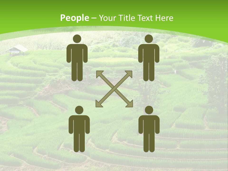 Garden Nature Color PowerPoint Template