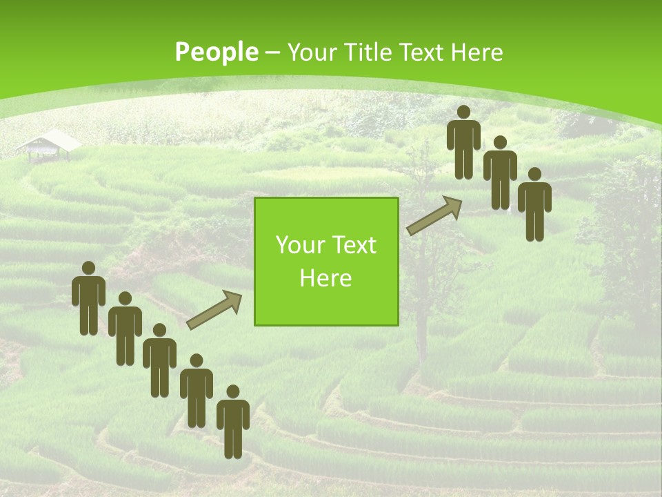 Garden Nature Color PowerPoint Template