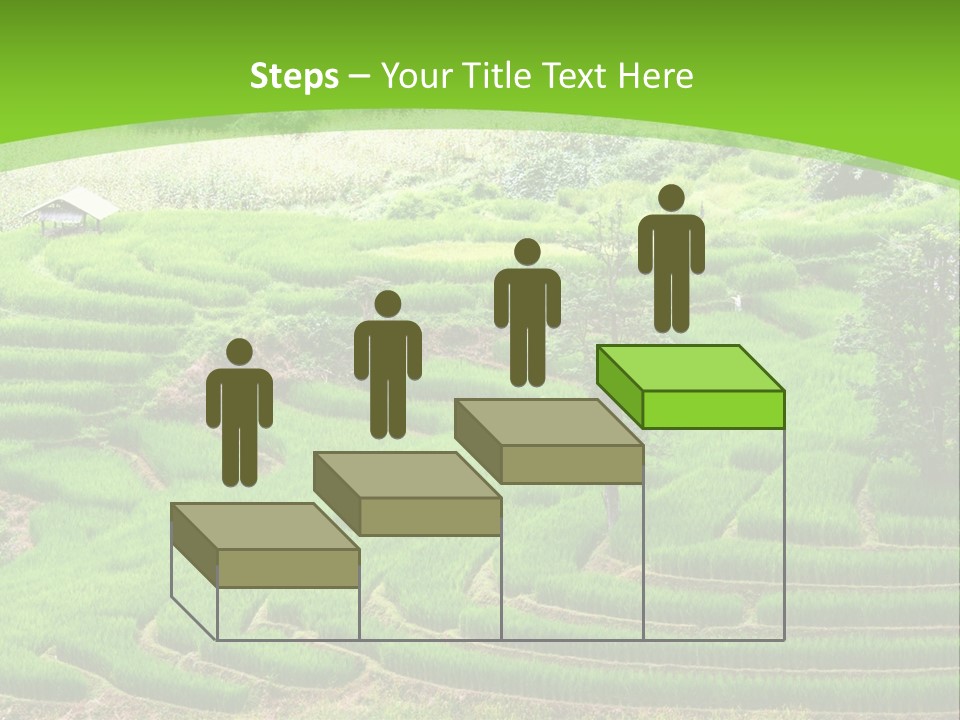 Garden Nature Color PowerPoint Template