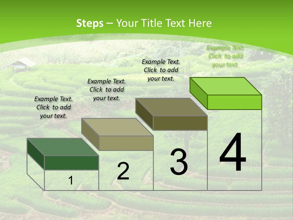 Garden Nature Color PowerPoint Template