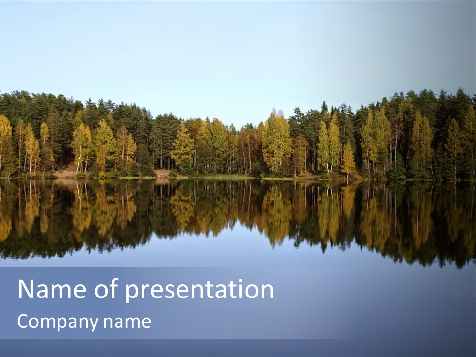 Panoramic Pine Scenery PowerPoint Template