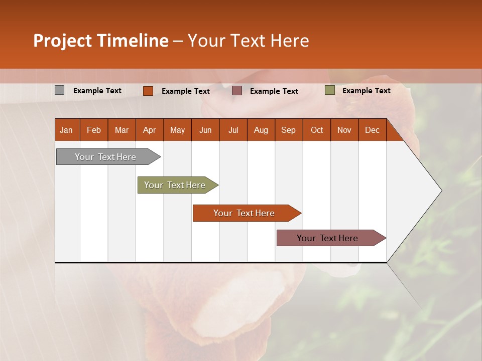 Behavior Adult Hash PowerPoint Template