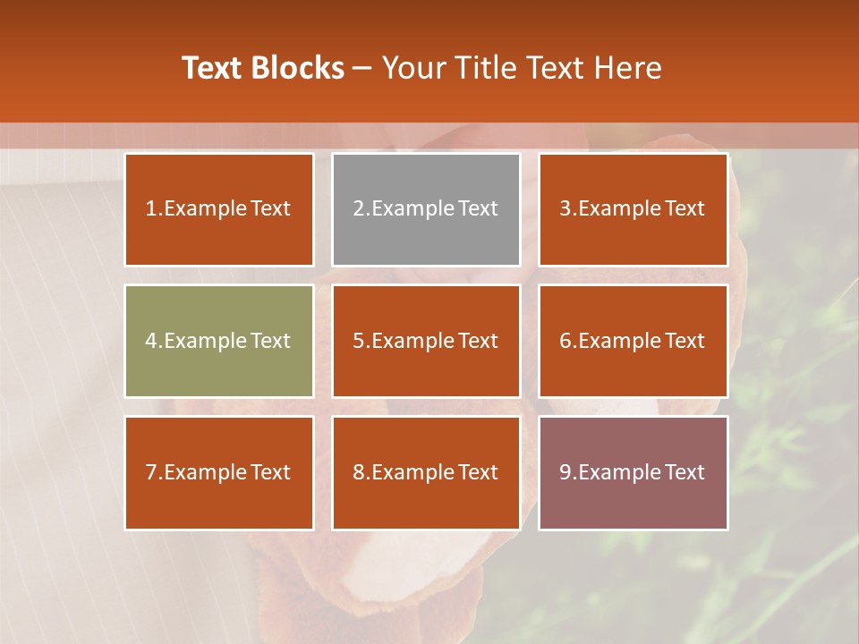 Behavior Adult Hash PowerPoint Template