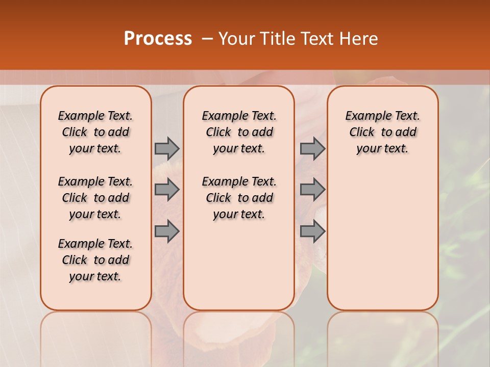 Behavior Adult Hash PowerPoint Template