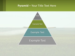 Chemicals Action Crop Dusting PowerPoint Template