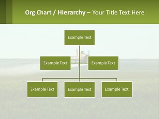 Chemicals Action Crop Dusting PowerPoint Template