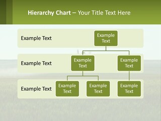 Chemicals Action Crop Dusting PowerPoint Template