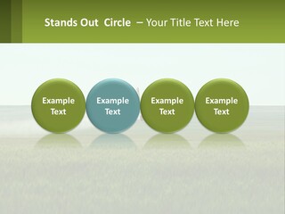 Chemicals Action Crop Dusting PowerPoint Template