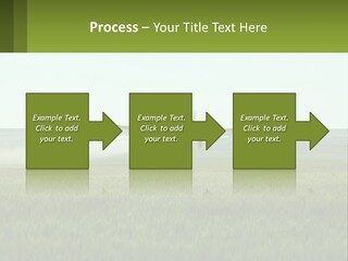 Chemicals Action Crop Dusting PowerPoint Template