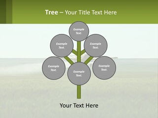 Chemicals Action Crop Dusting PowerPoint Template