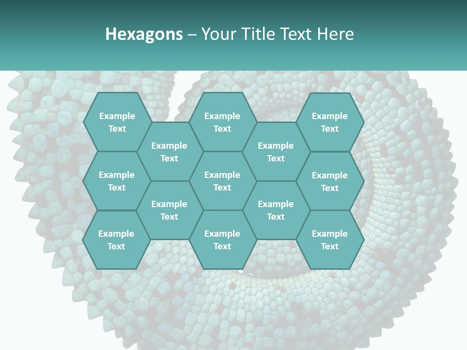 Square Cutout Tail PowerPoint Template