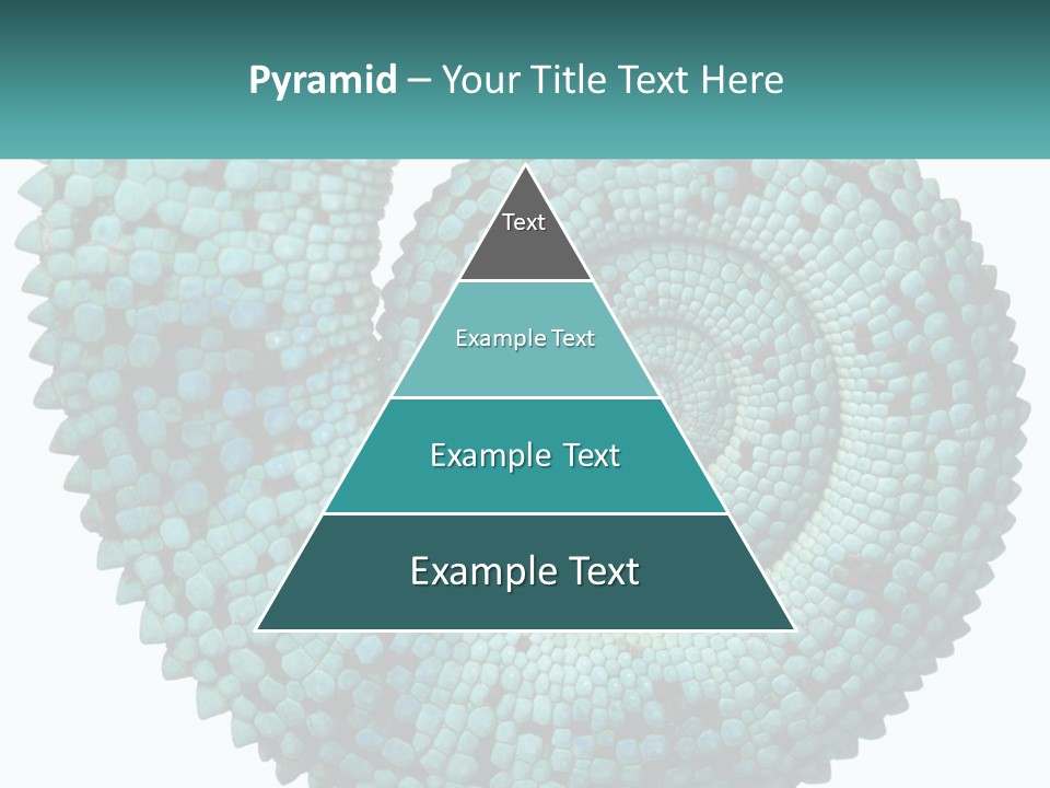 Square Cutout Tail PowerPoint Template