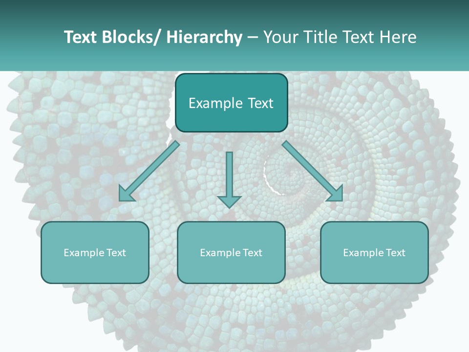 Square Cutout Tail PowerPoint Template
