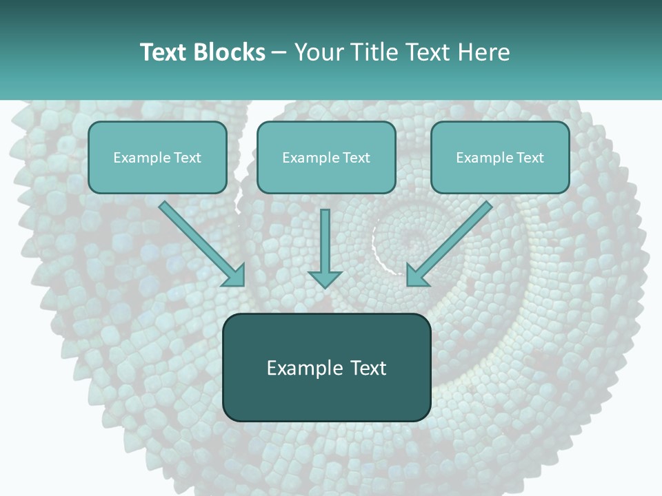Square Cutout Tail PowerPoint Template
