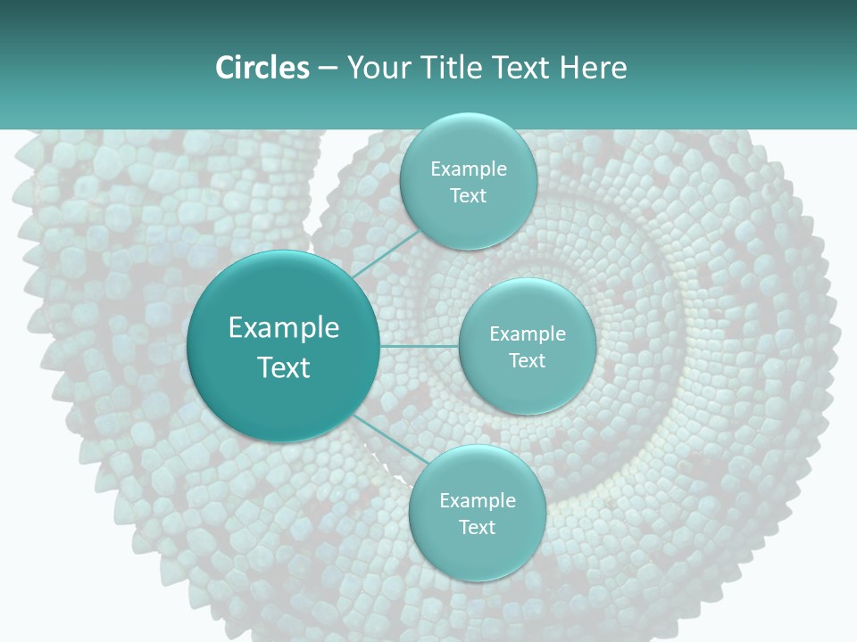 Square Cutout Tail PowerPoint Template