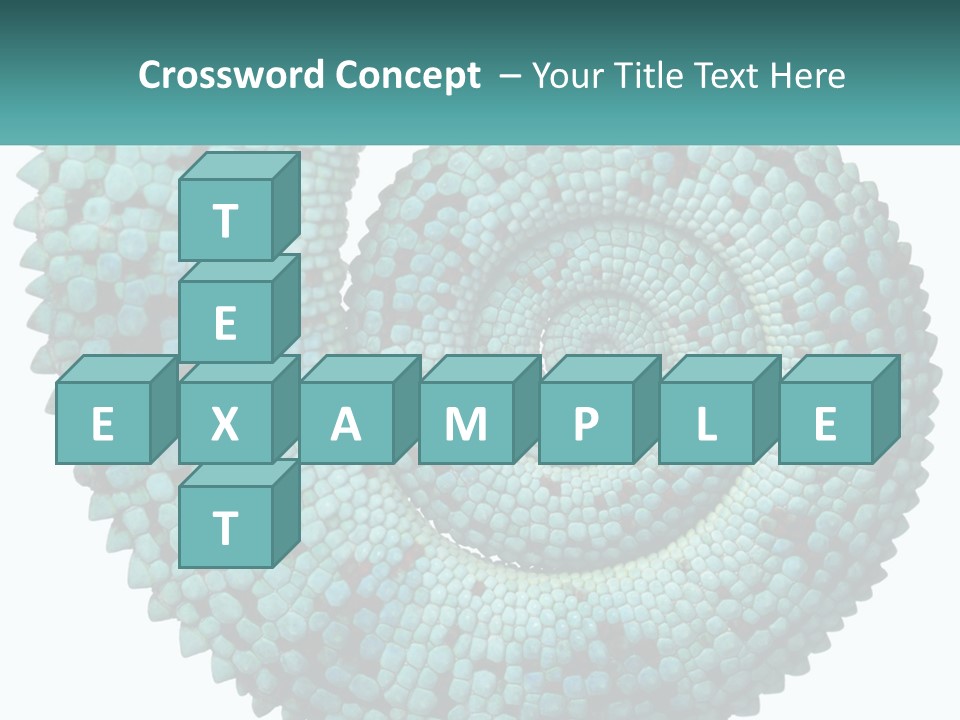Square Cutout Tail PowerPoint Template