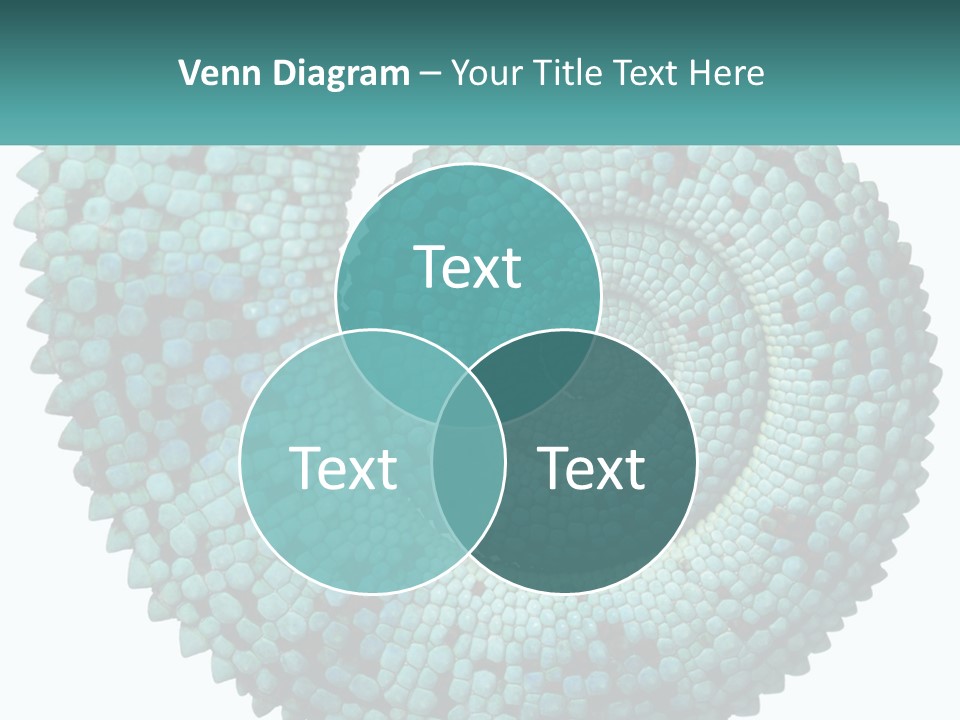 Square Cutout Tail PowerPoint Template