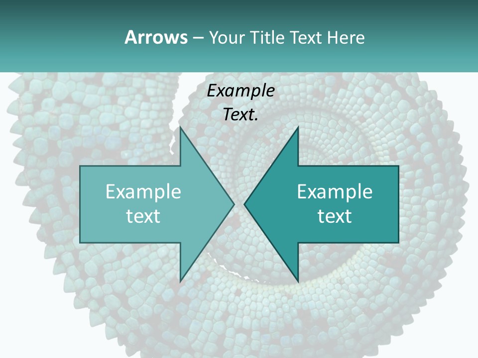 Square Cutout Tail PowerPoint Template