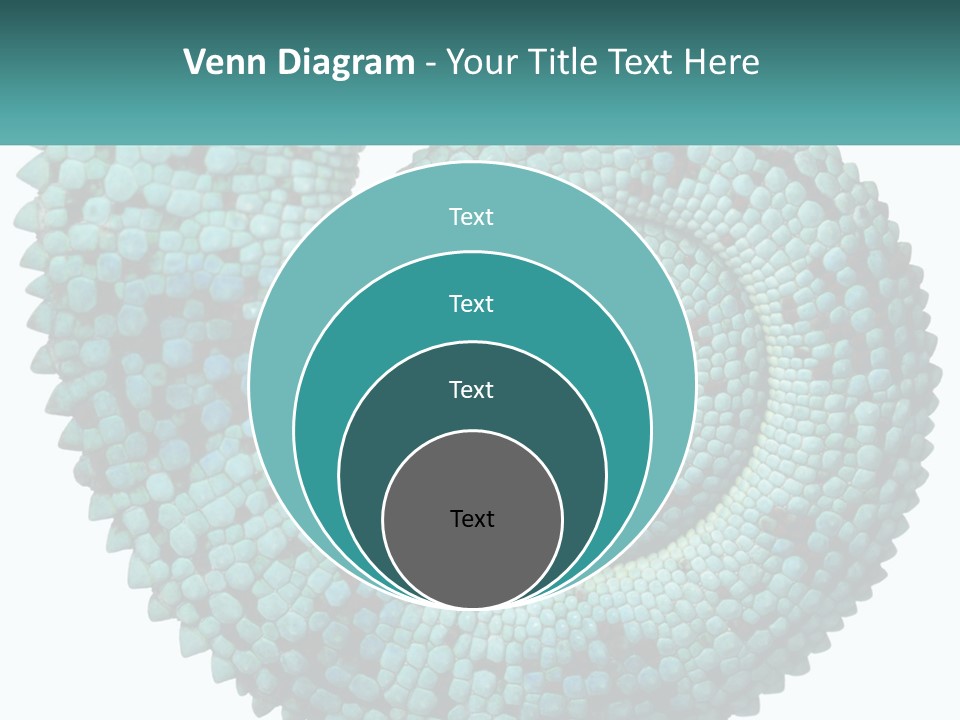 Square Cutout Tail PowerPoint Template