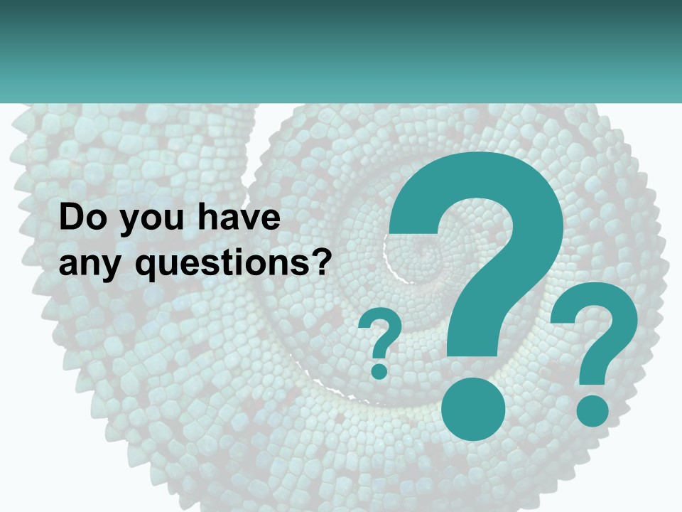 Square Cutout Tail PowerPoint Template