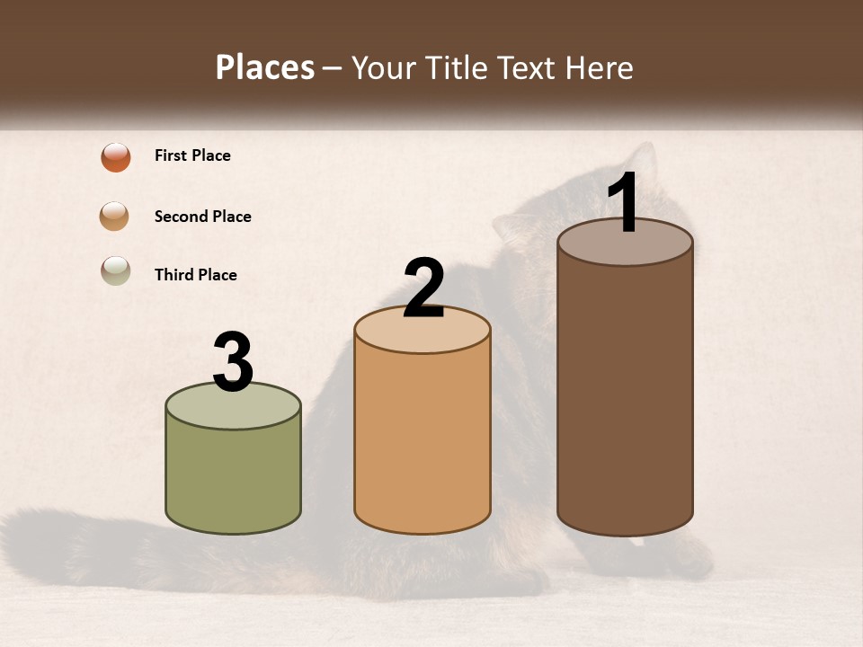 Puss Feline Furry PowerPoint Template