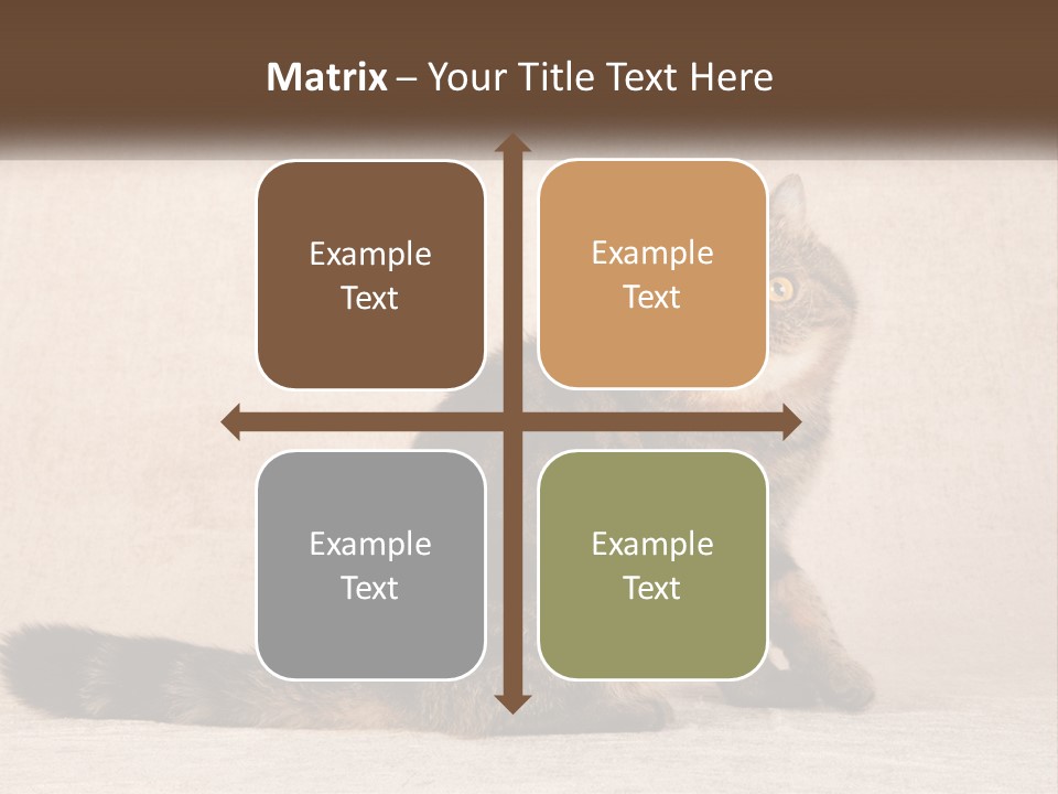 Puss Feline Furry PowerPoint Template