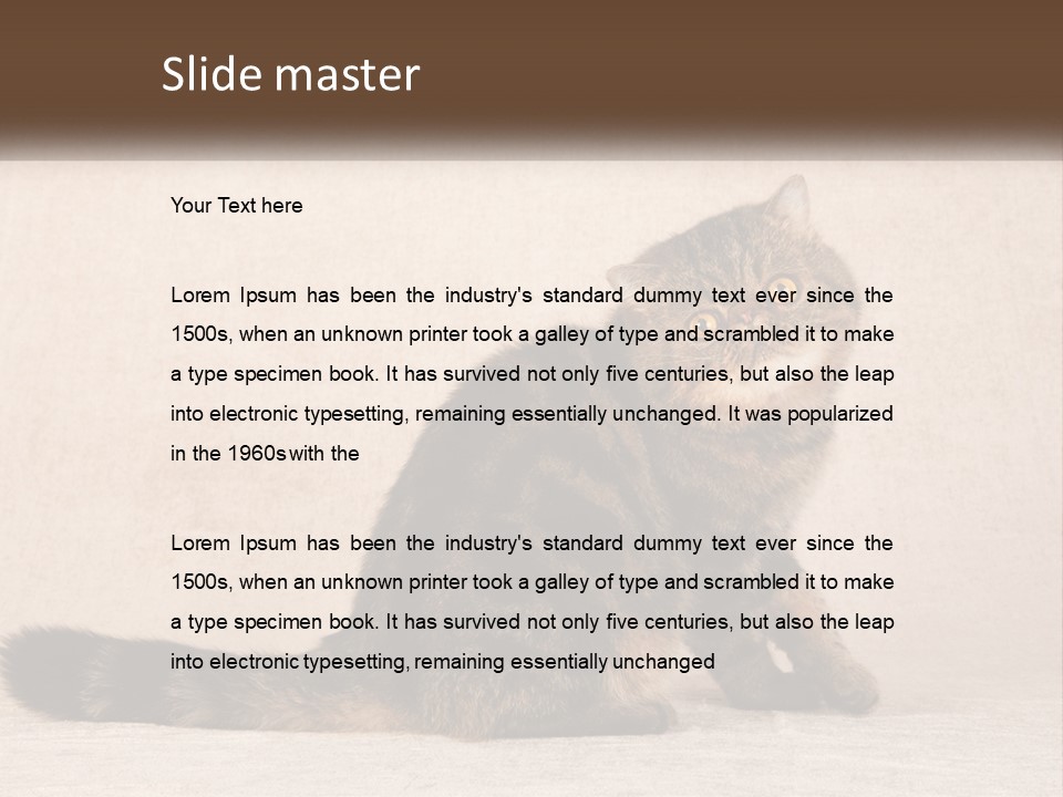 Puss Feline Furry PowerPoint Template