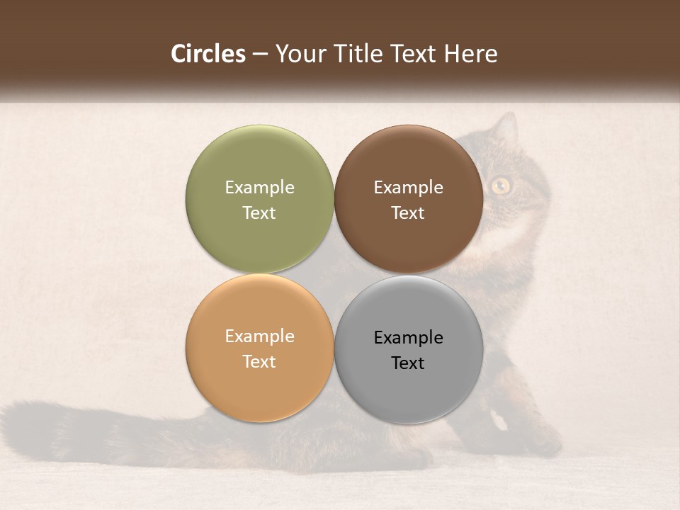 Puss Feline Furry PowerPoint Template