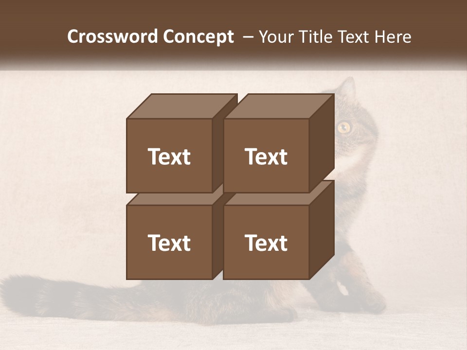 Puss Feline Furry PowerPoint Template